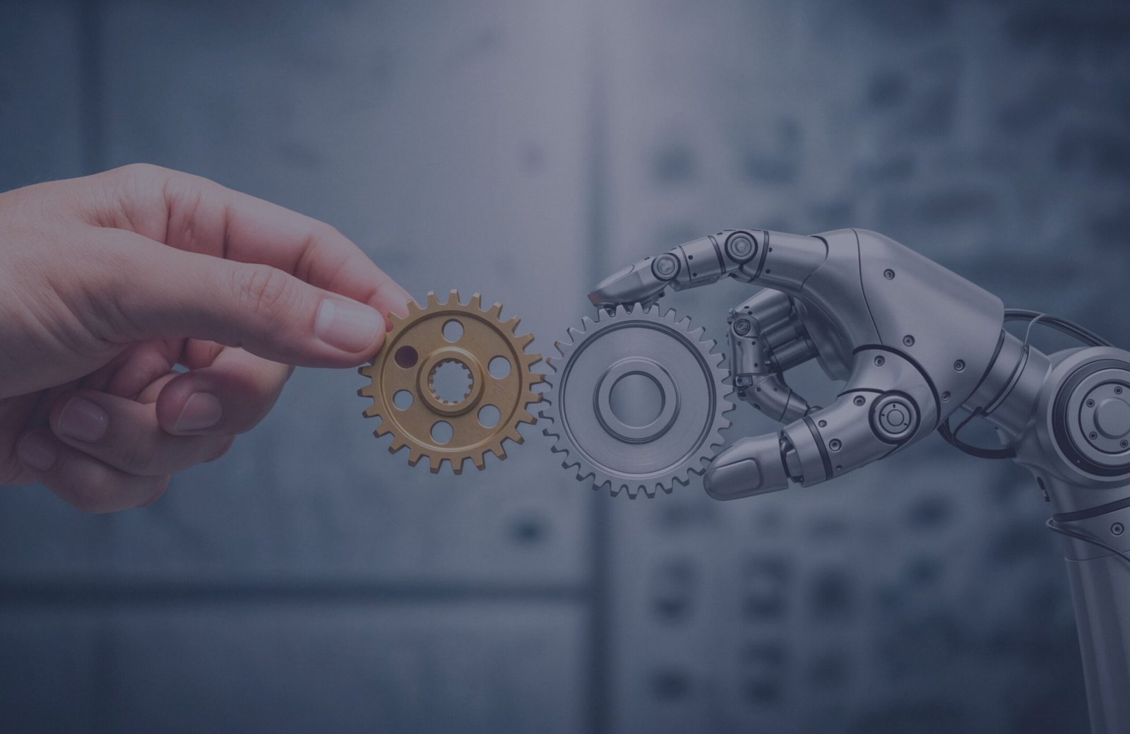 2_20251009_112946_0001